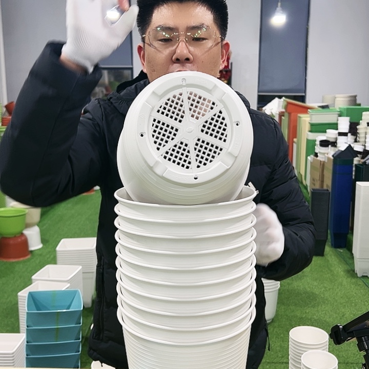 正品高陶口21高21白色6只无托