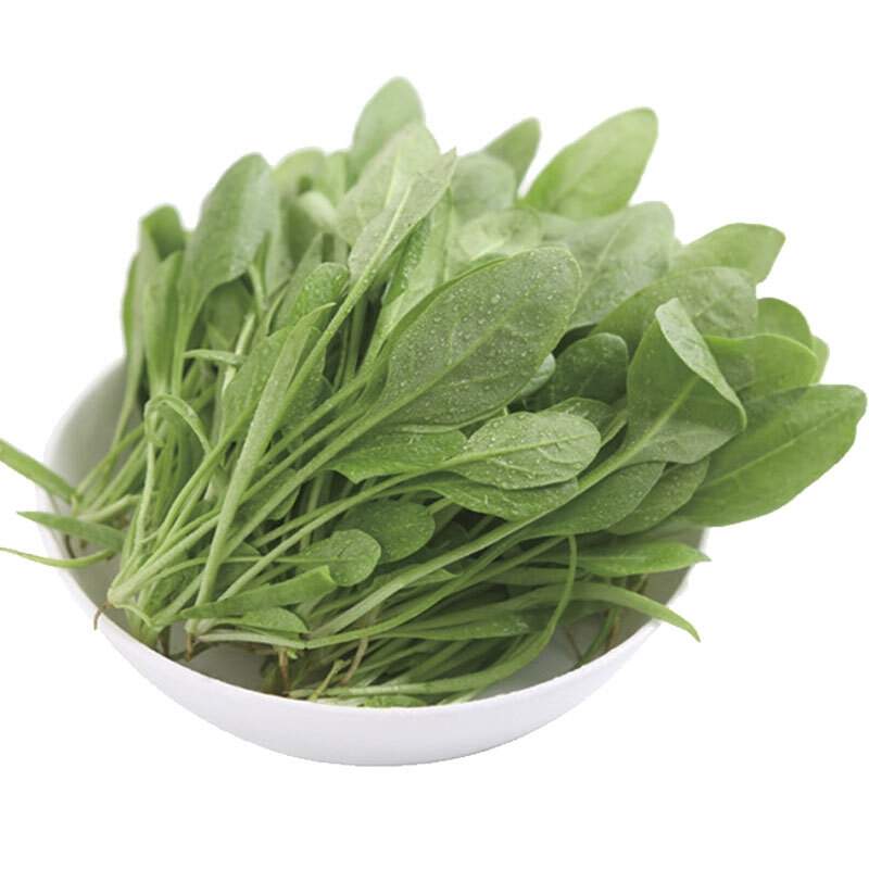 菠菜苗（长度小于20cm） 约200g/份