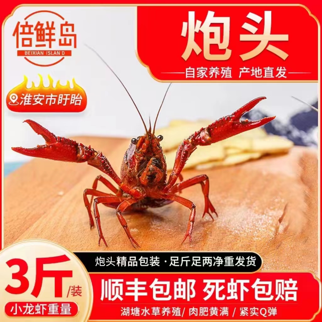 【精品炮头1两起3斤装批发】江苏盱眙泰州兴化鲜活小龙虾