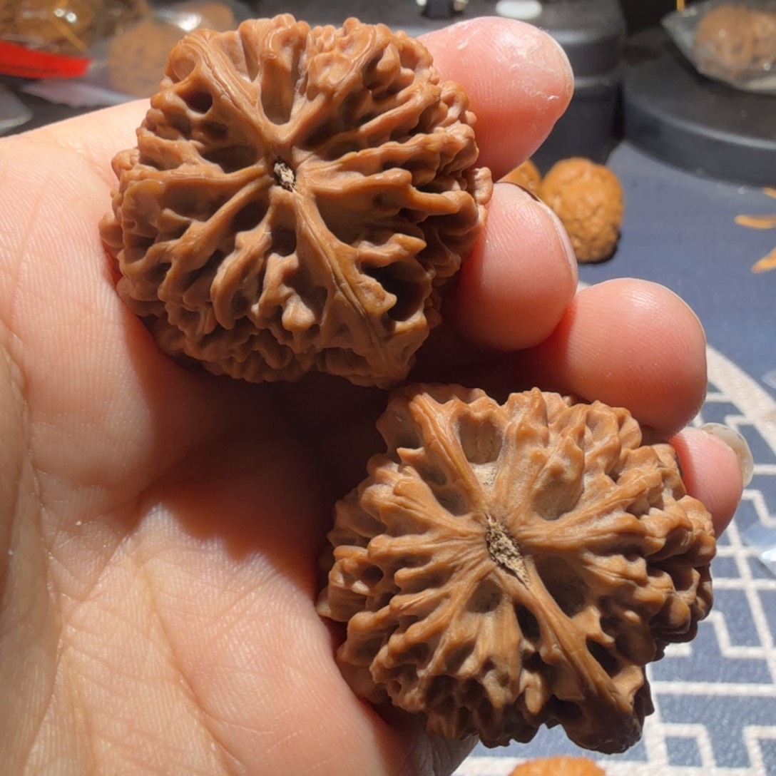 文玩核桃把件秦闷