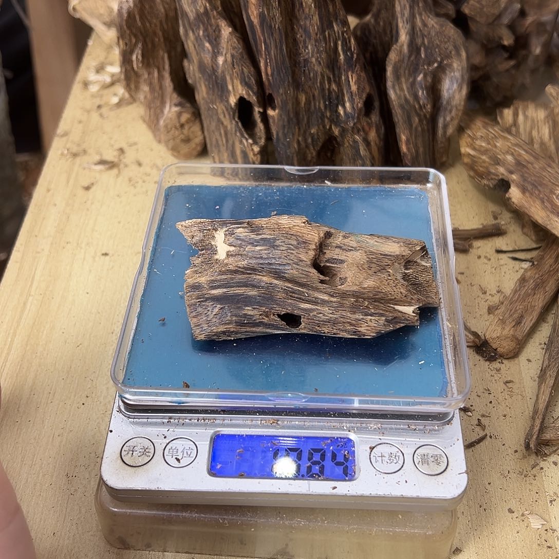 香料绿奇楠虫漏19克乌身