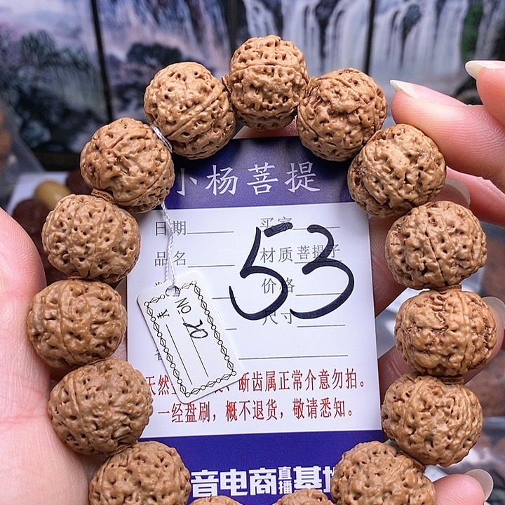 手串金刚菩提20双龙