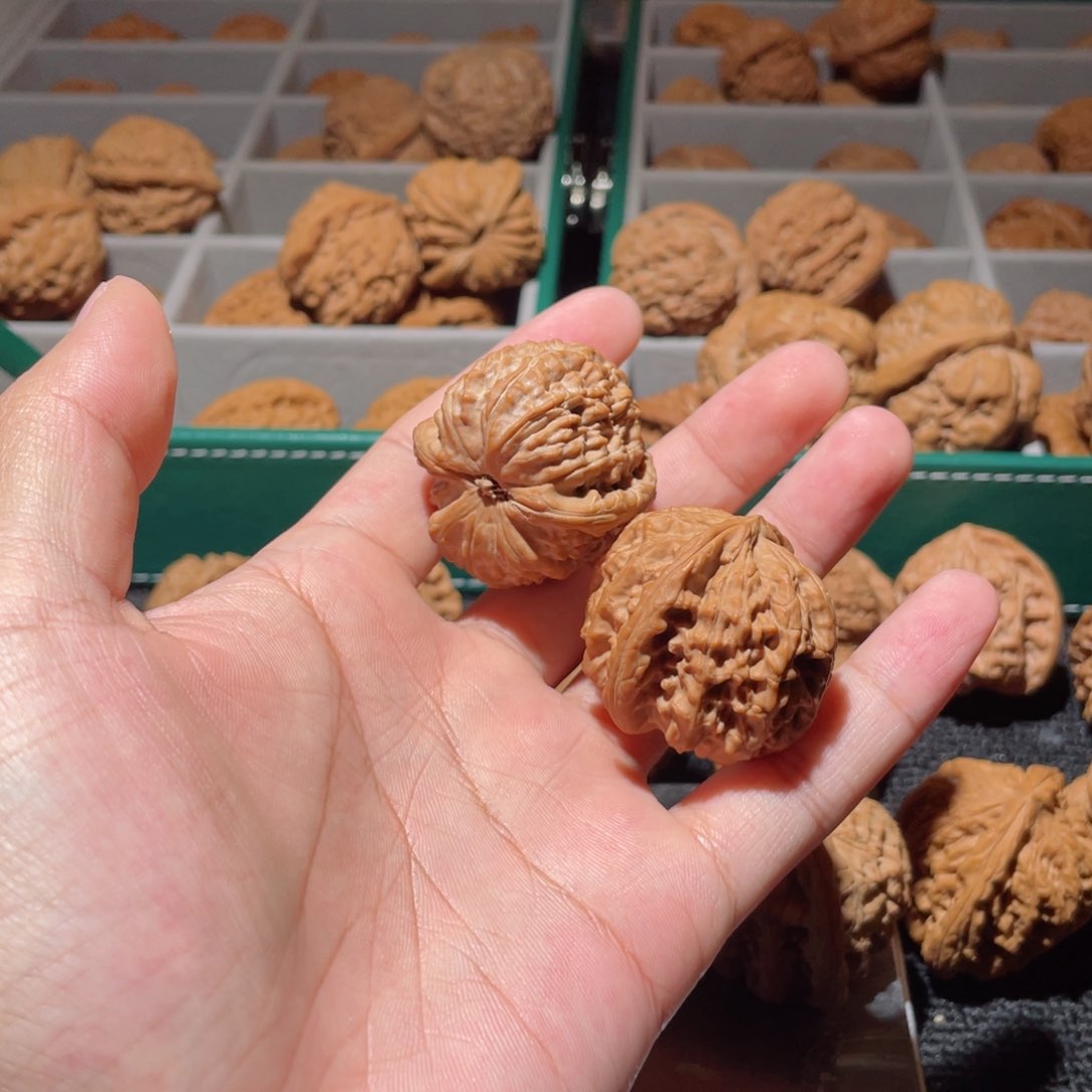 桃核把件米***水35全品白狮子