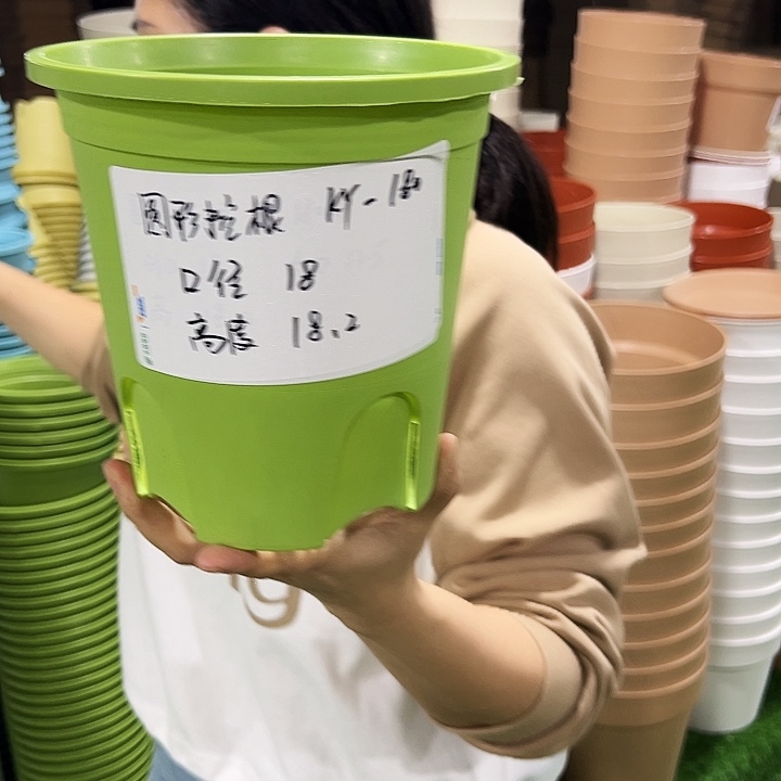 正品圆控口18高18果绿色无托8只