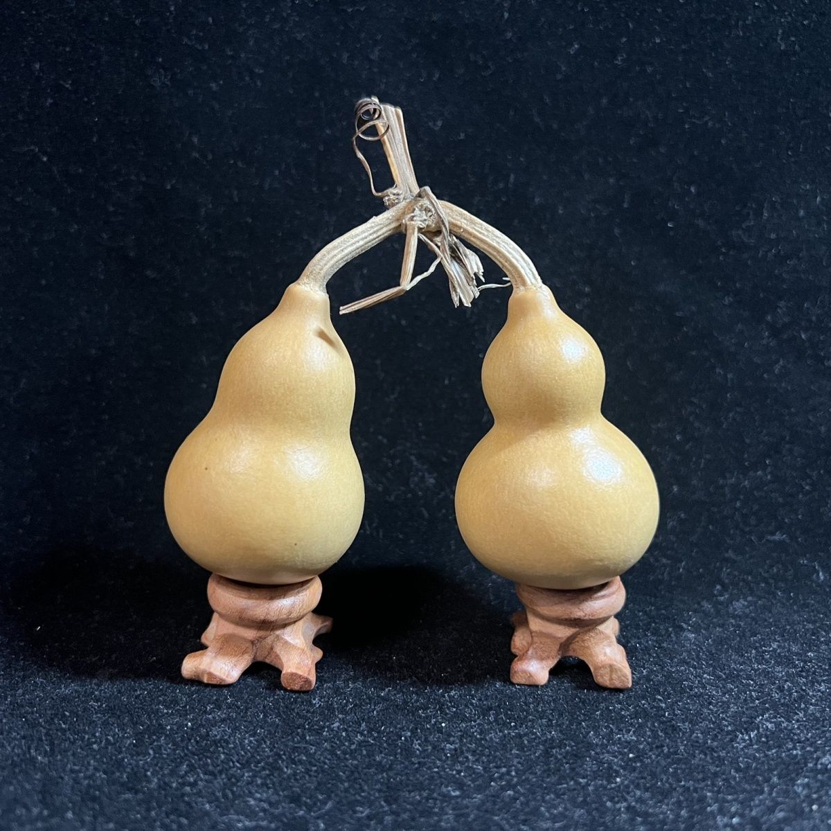 葫芦直播专属链接