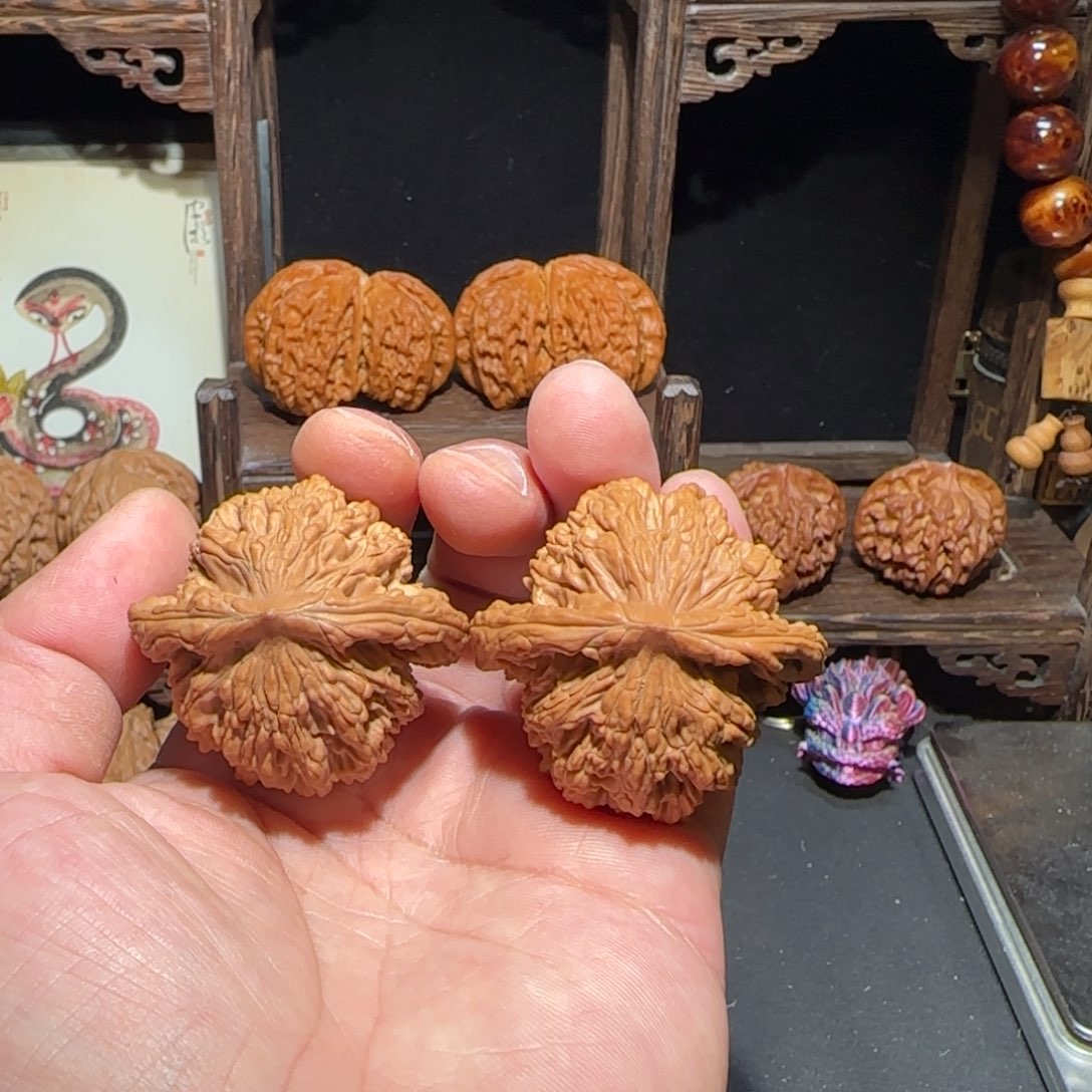 全品无修麦穗虎头44尺