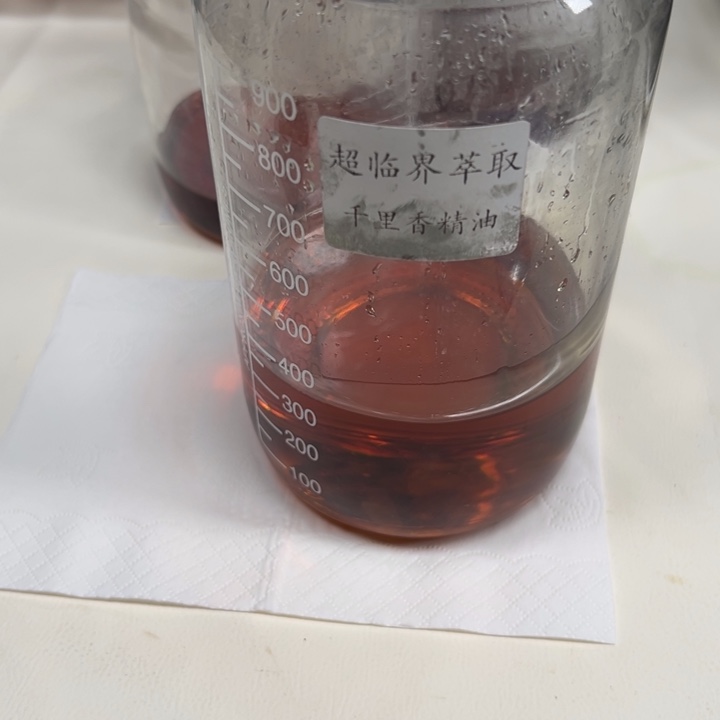 寂***洧沉香沉香精油精油