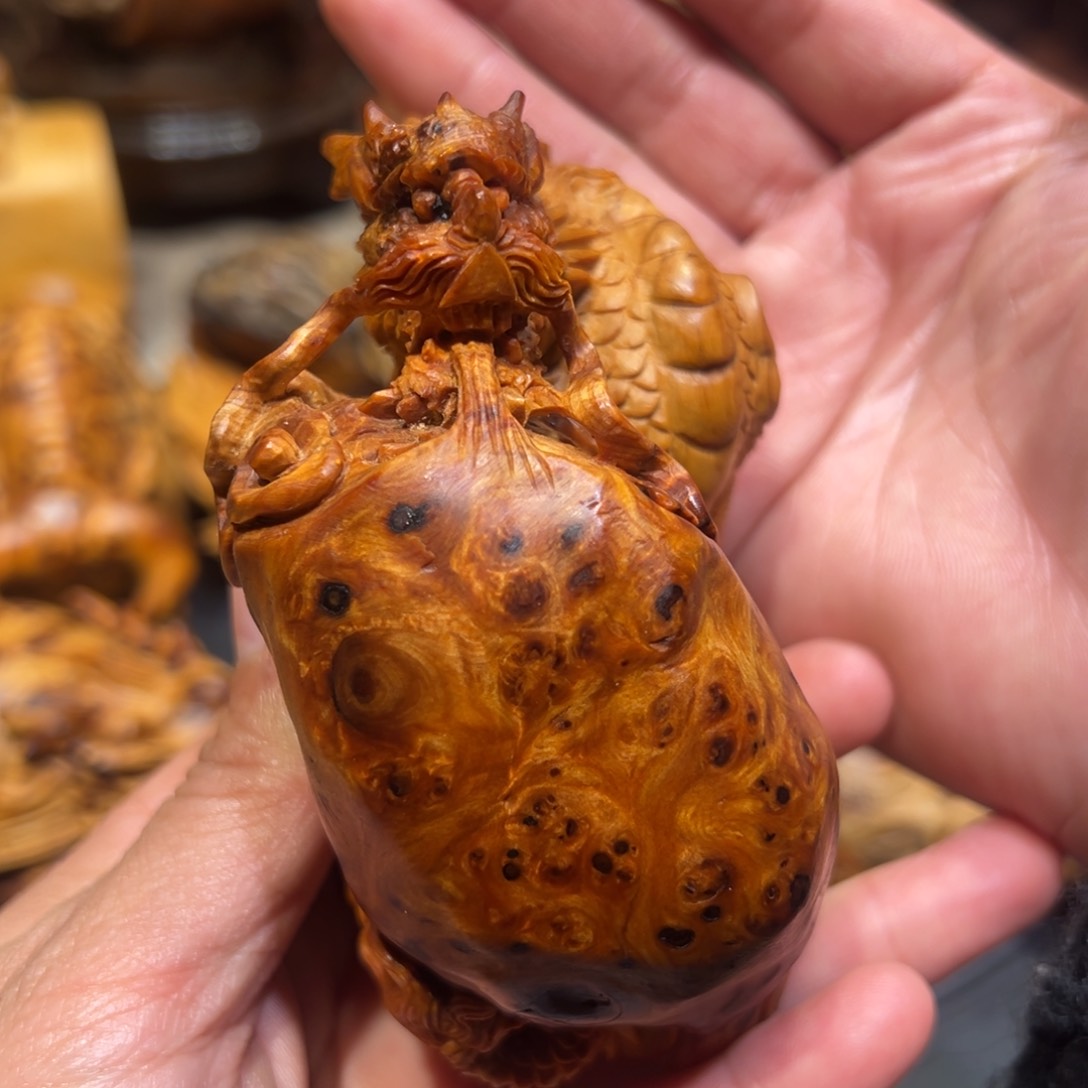 柏木z 111578999990000