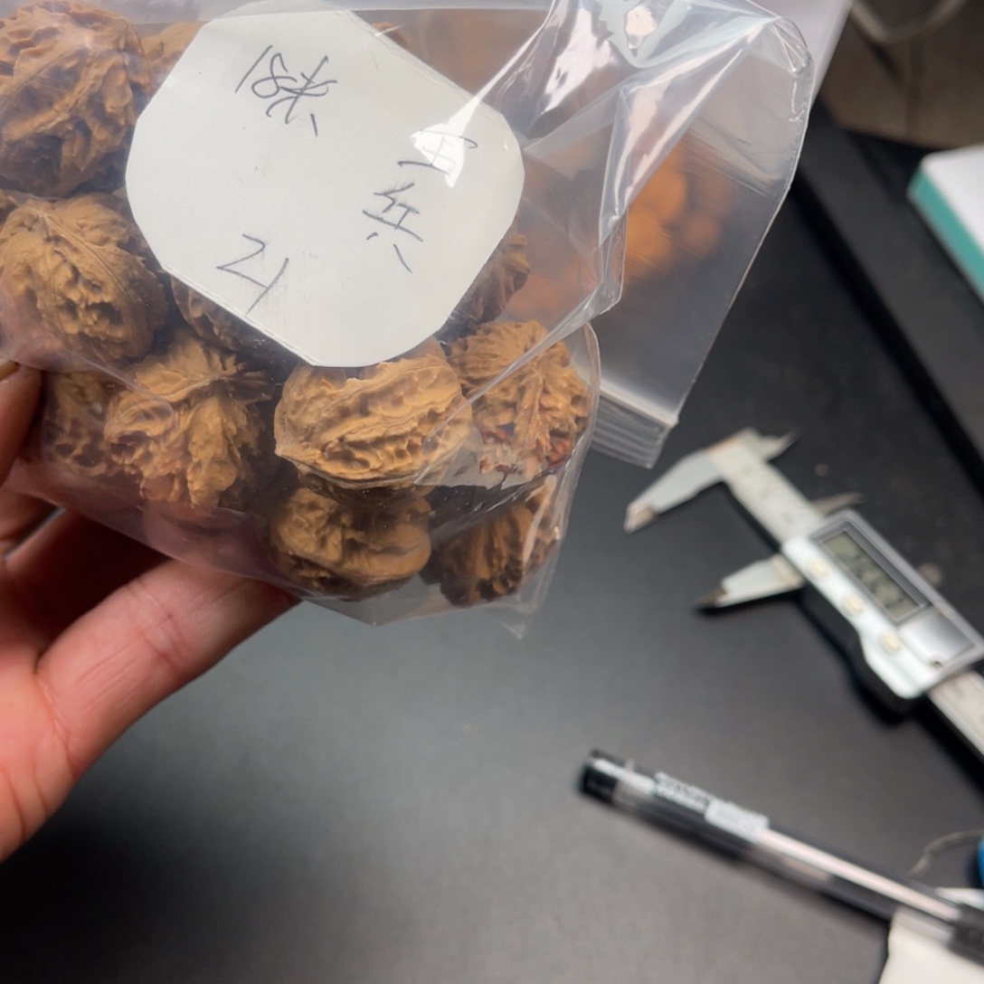 王***兵野生小核桃21颗18