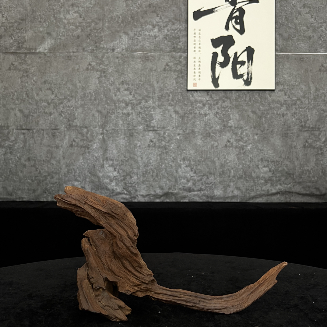 【青阳沉木】云南紫柚木沉木鱼缸造景装饰飘枝拱桥树桩—37.13.20