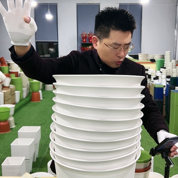 正品矮陶口30高21白色5只无托