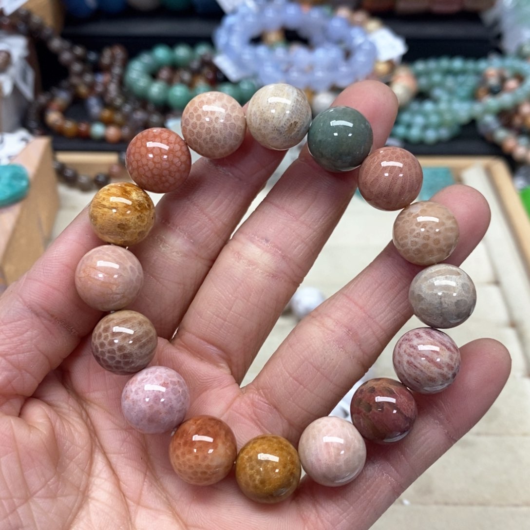 硅化珊瑚（珊瑚玉）手链未镶嵌百****）111