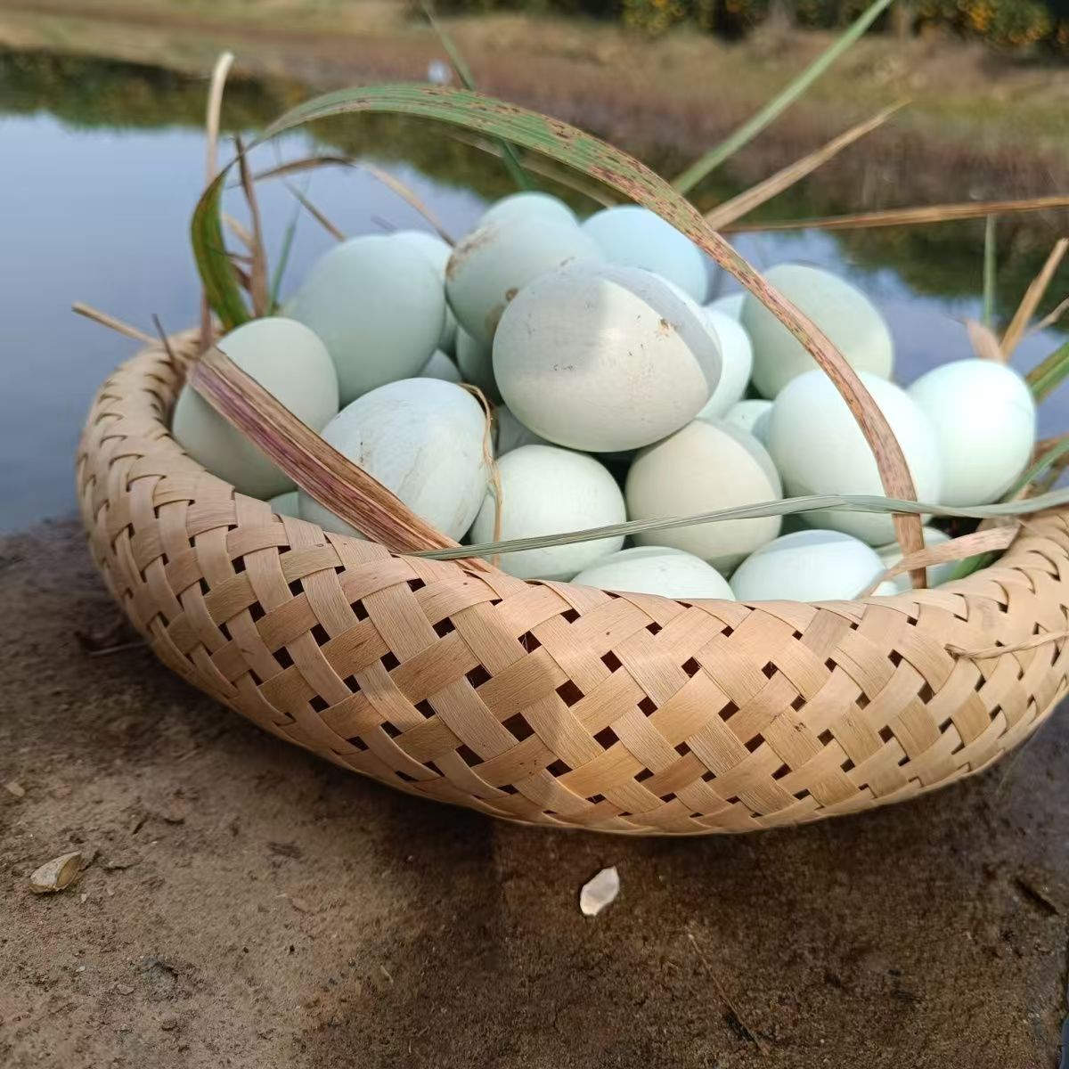 纯绿黄土高坡散养芦花土鸡蛋