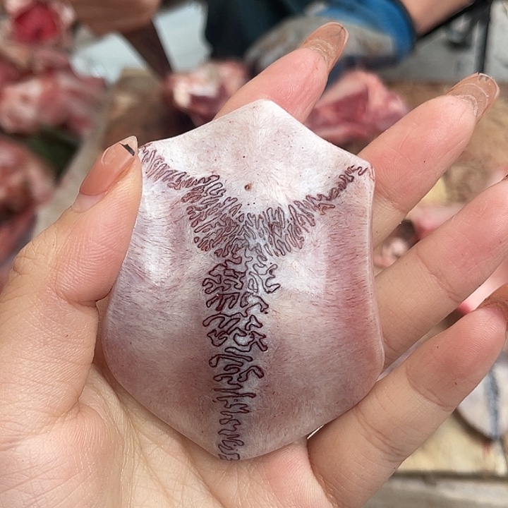 禾***业养殖鹿骨三界牌子