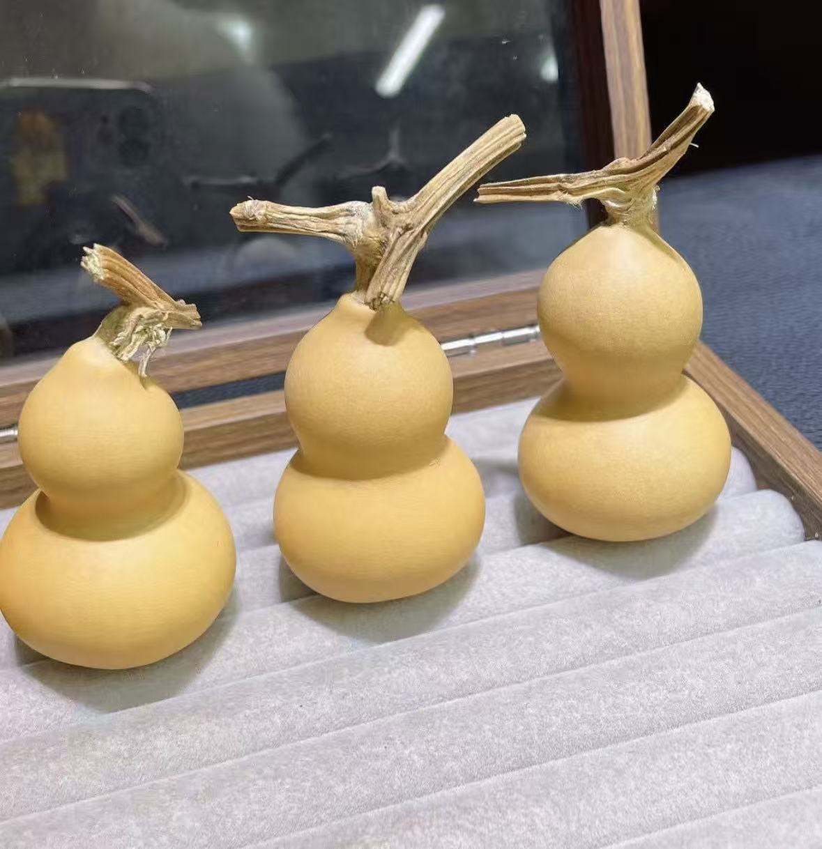 天然葫芦 直播一物一拍