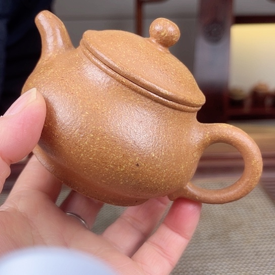 紫砂茶壶今天不知道