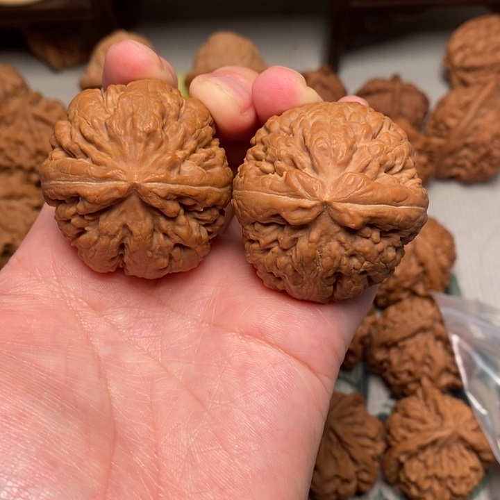 木质霸王龙40全品