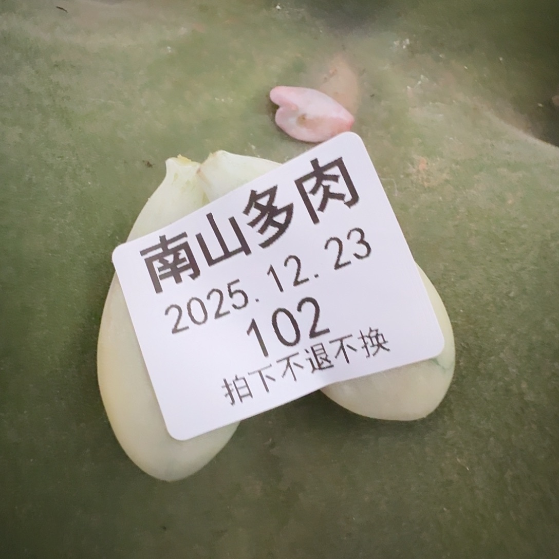 姬***君美人叶子111111223-102