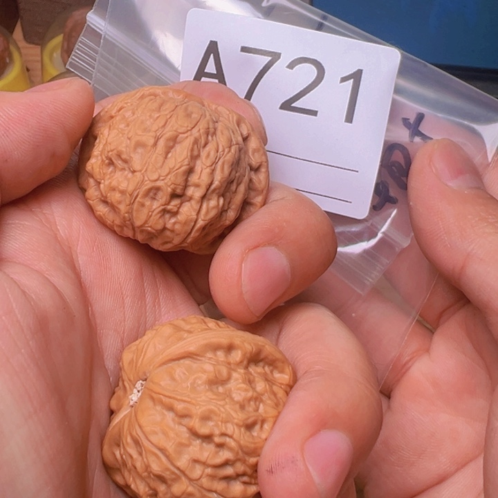 核桃乾隆磨，37.5，已打底