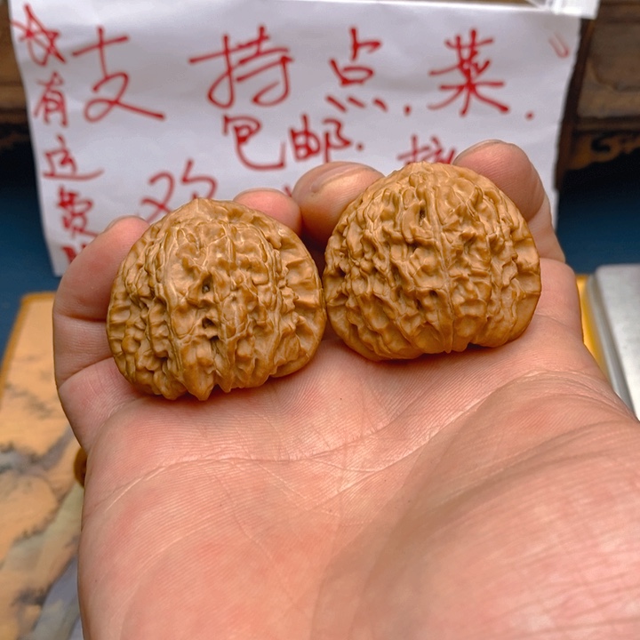 文玩核桃把件40尺白狮子全品