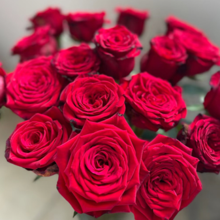 ［自由玫瑰］10支