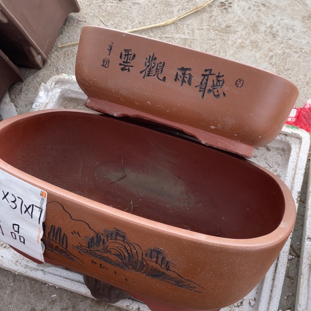 雪*-精品 小号 一只。  