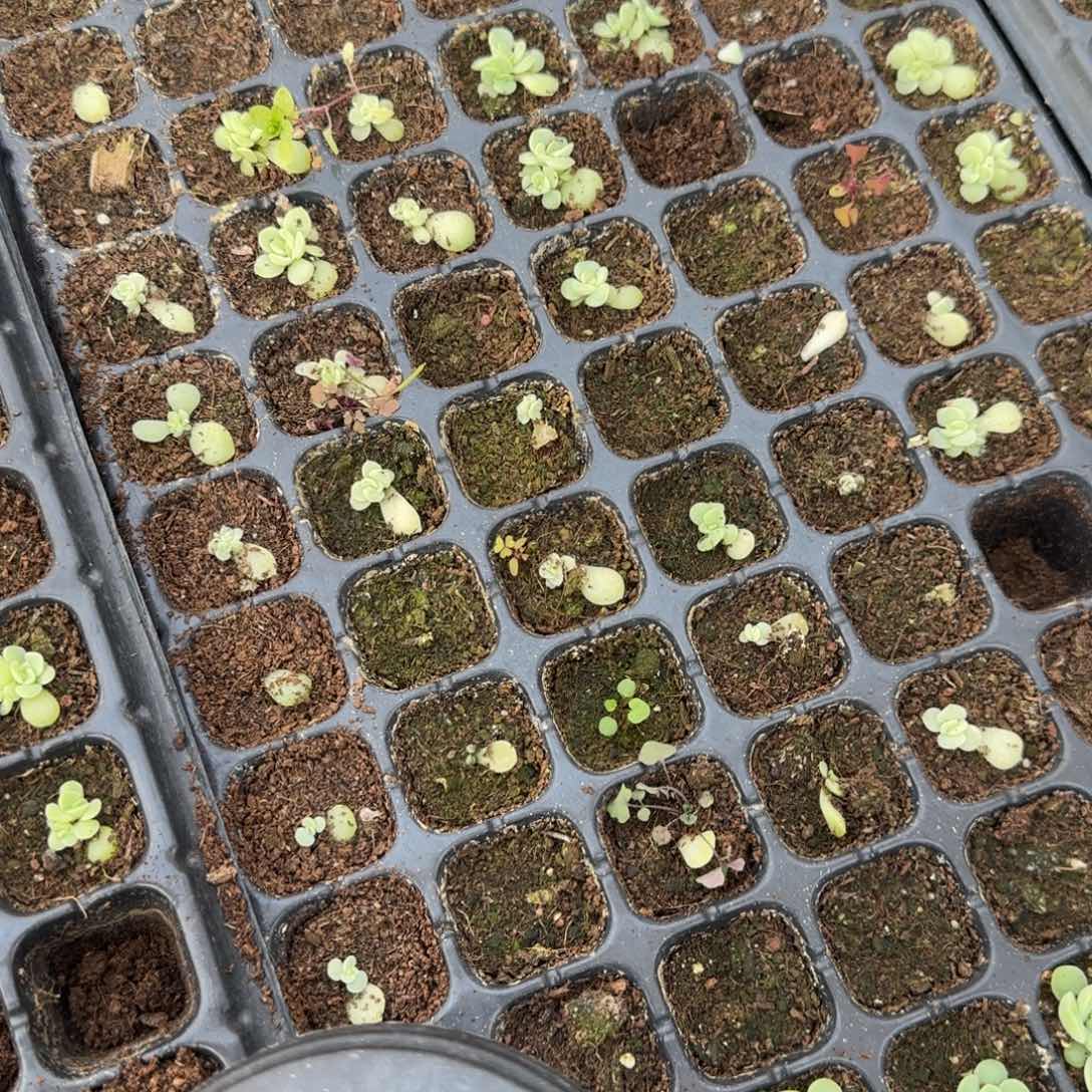 FM72 穴一个满25包邮