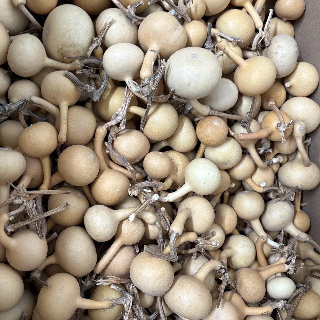 默认微瑕独霸葫芦拍下发20个左右（龙头不包）拍了不退不换介意勿拍