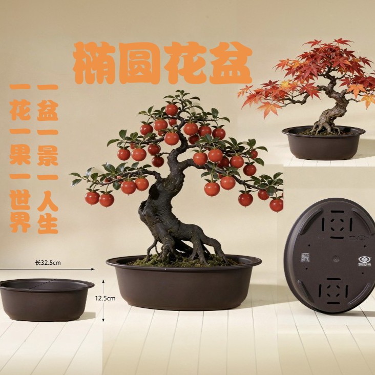 椭圆盆，加厚树脂PP,盆景花盆盆