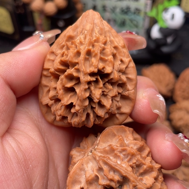 @***i核桃40尺秦岭野生胖鸡王