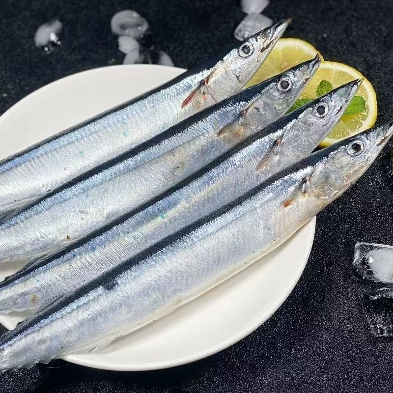 【顺丰包邮】秋刀鱼新鲜野生海捕特大秋刀鱼日式烧烤海鲜商用批发