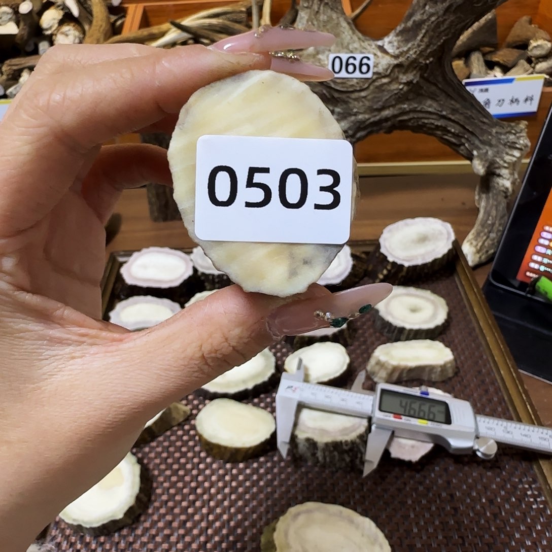 鹿骨手串/手链0503根段