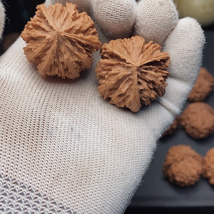 把件文玩核桃阿****6秦岭野生灯三棱