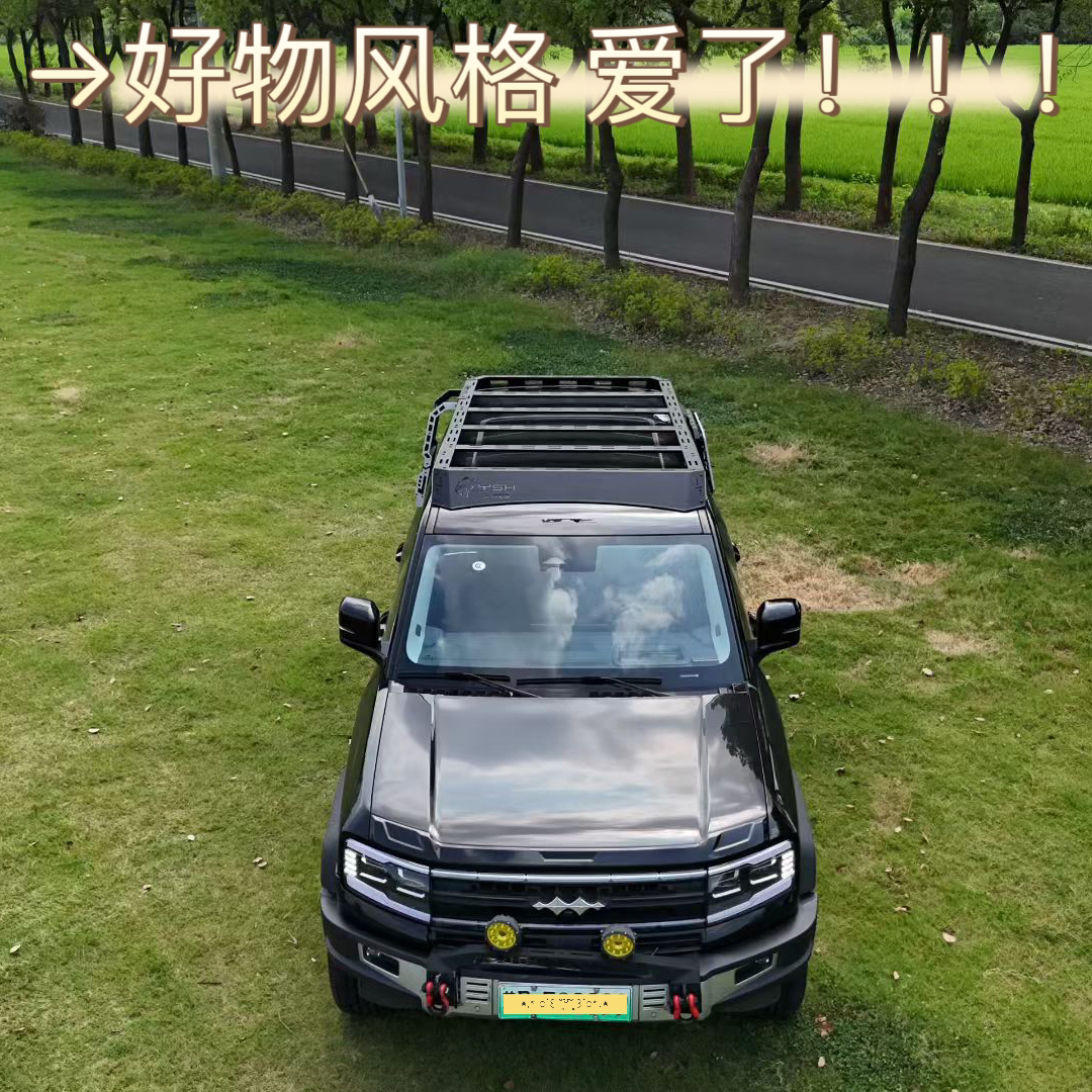 方程豹5专用车顶行李架框拓展平台爬梯机甲网越野改装件专车专用