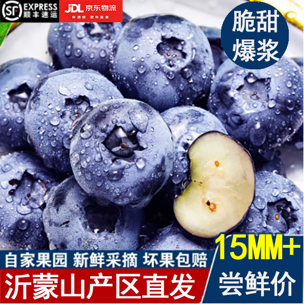 【花香蓝莓】大果15+花青素水果脆甜爆汁新鲜采摘当日发货送货上门
