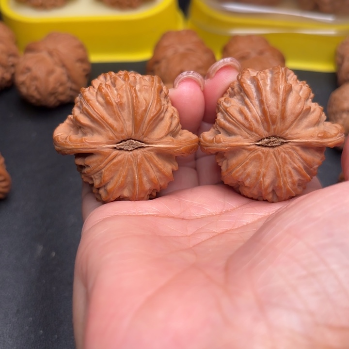 ~***～桃核把件44白狮子