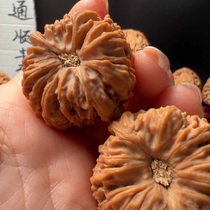 喝***牛37尺寸全家福南将石