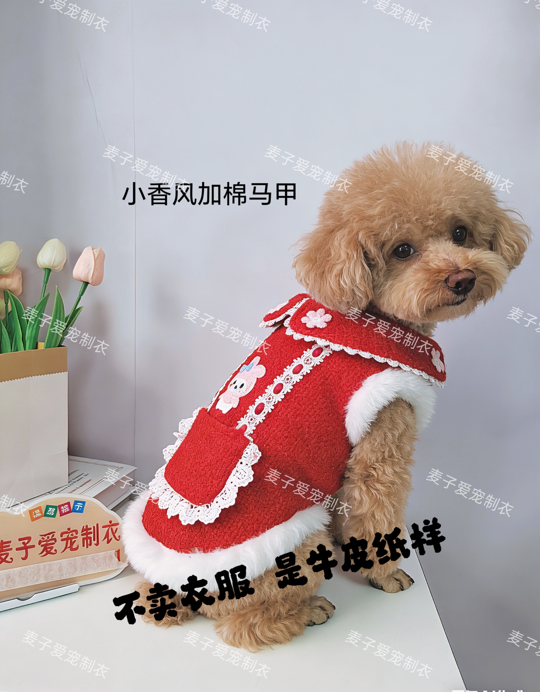 小香风棉马甲，不卖衣服，是宠物牛皮纸样