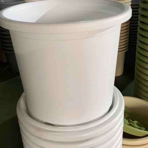 树脂四季9#无托纯白4个