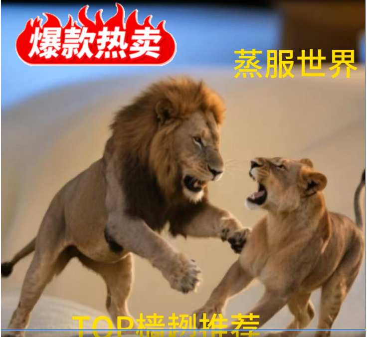多色狮子加强款储物袋新款