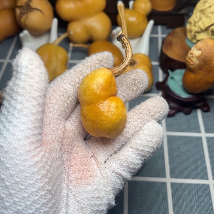 ꧁***꧂葫芦色差葫芦66666666666