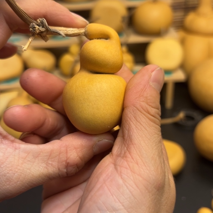 协****生葫芦葫芦葫芦葫芦葫芦葫芦