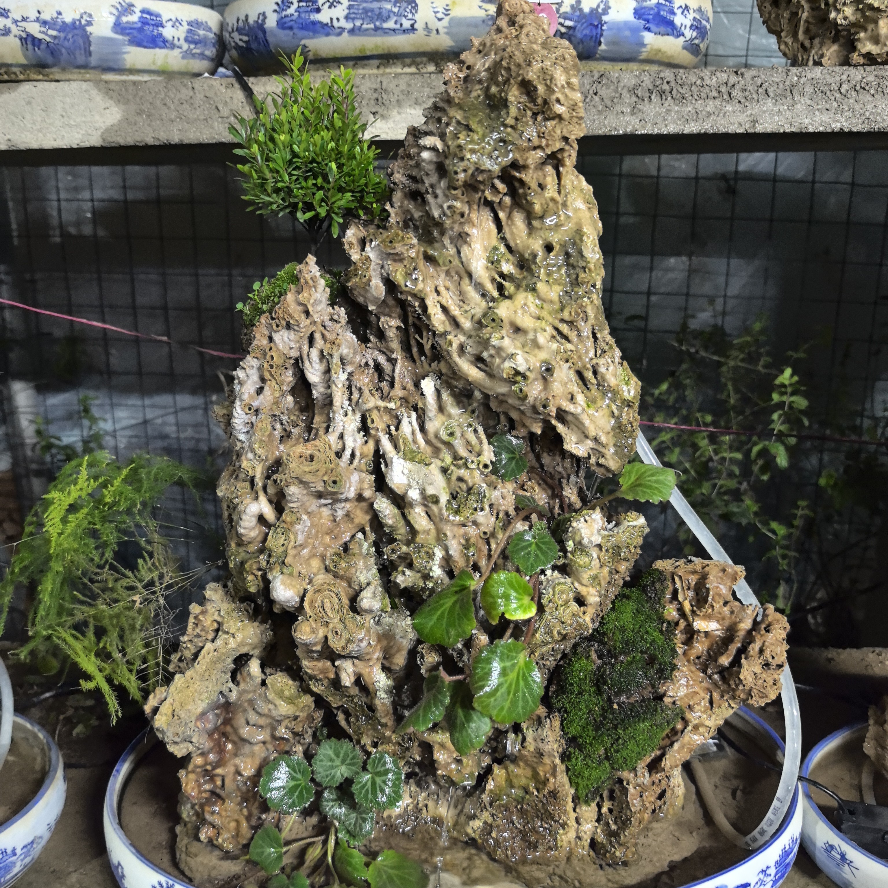 鱼缸吸水石卢管石盆景吸水石