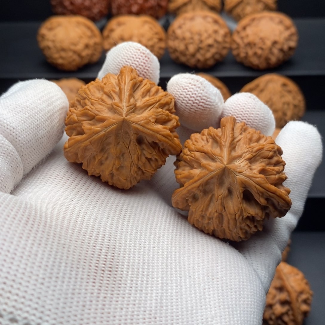 文玩核桃把件E****森御龙粗筋