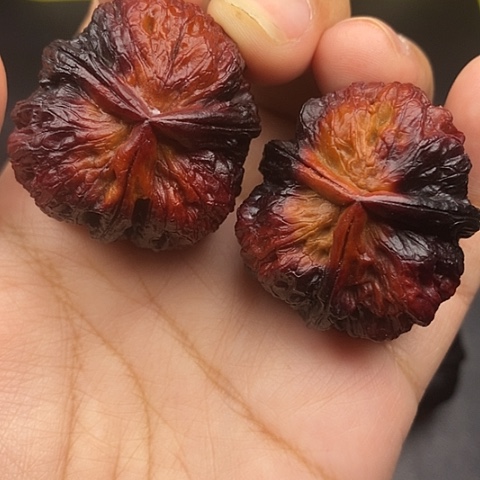 文玩核桃把件39尺云南核桃