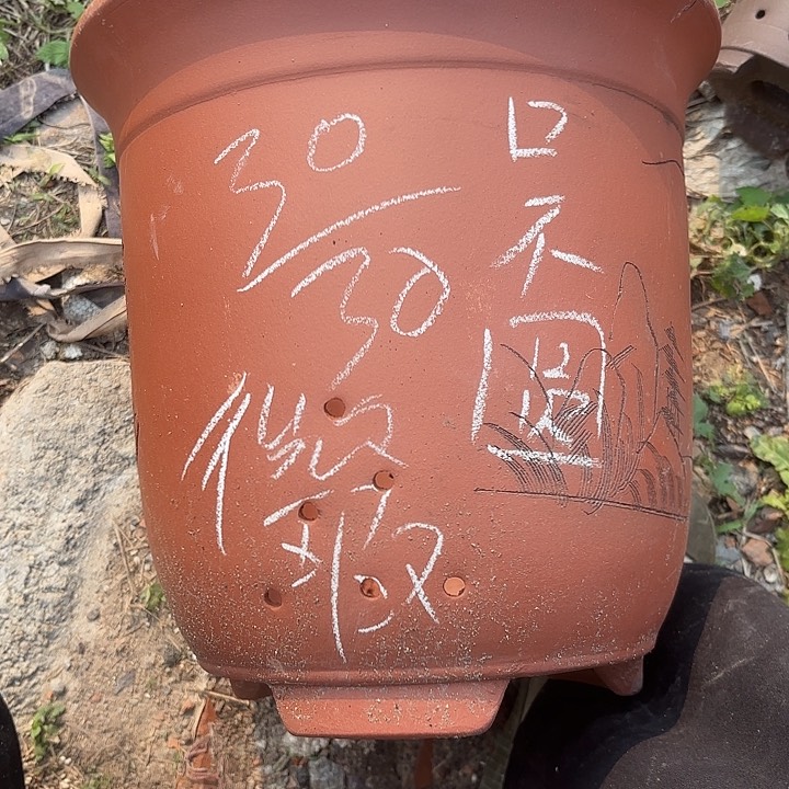 紫泥花盆紫砂花盆