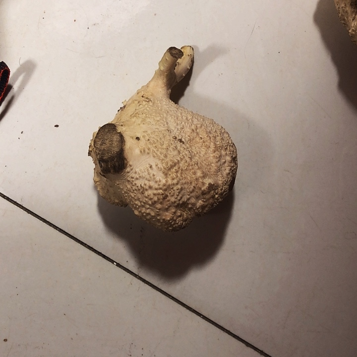 余***木木料木料木料木料