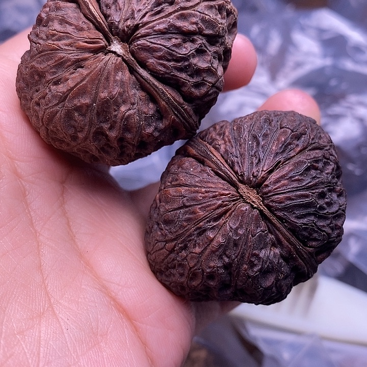 文玩核桃把件   87