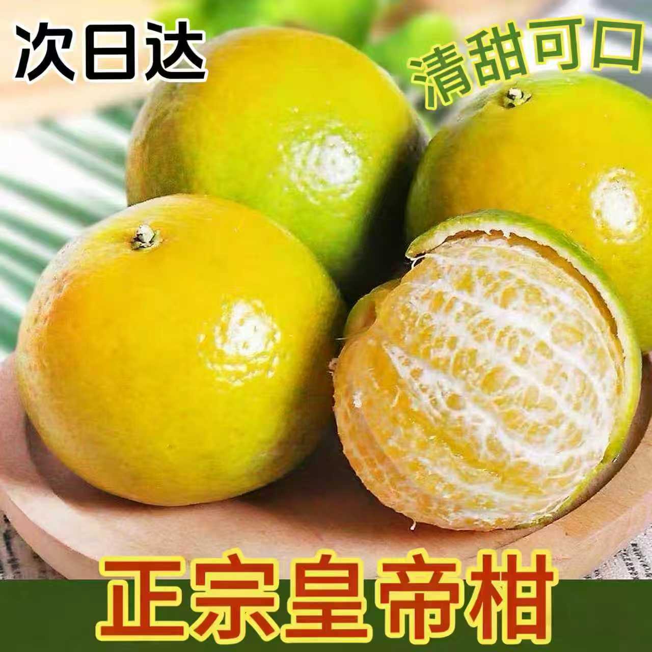 【京东次日达】正宗贡柑皇帝柑现摘皮薄爆汁当季水果广东省