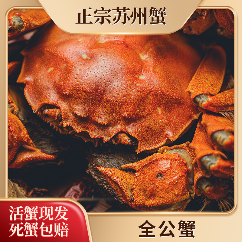 【活蟹现发】苏州湖水大闸蟹全公蟹5两10只礼盒装